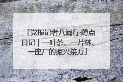 党报记者八闽行·蹲点日记｜一叶茶、一片林、一座厂的振兴接力