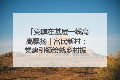 党旗在基层一线高高飘扬｜富民新村：党建引领绘就乡村振兴美丽画卷