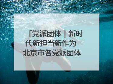 党派团体｜新时代新担当新作为 北京市各党派团体这么干！