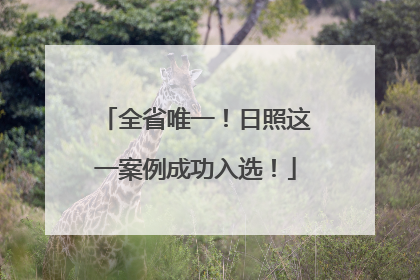 全省唯一！日照这一案例成功入选！