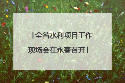 全省水利项目工作现场会在永春召开