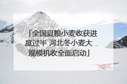 全国夏粮小麦收获进度过半 河北冬小麦大规模机收全面启动