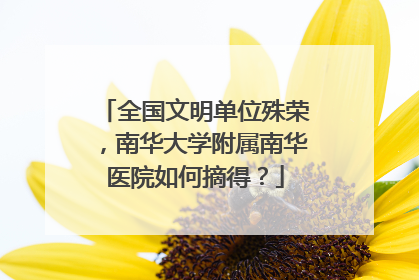 全国文明单位殊荣，南华大学附属南华医院如何摘得？