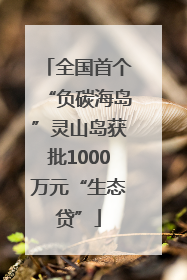 全国首个“负碳海岛”灵山岛获批1000万元“生态贷”