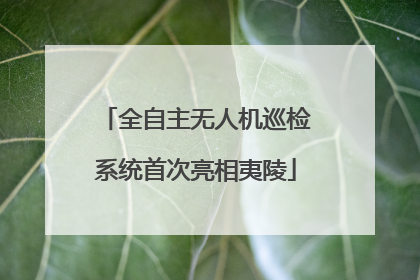全自主无人机巡检系统首次亮相夷陵