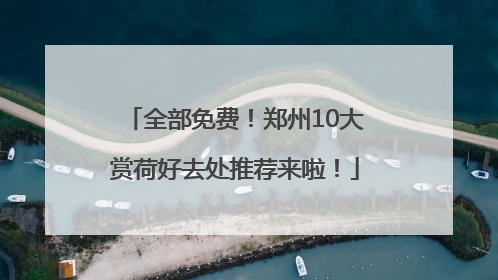 全部免费！郑州10大赏荷好去处推荐来啦！