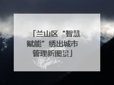 兰山区“智慧赋能”绣出城市管理新图景
