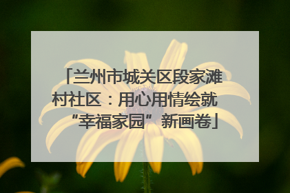 兰州市城关区段家滩村社区：用心用情绘就“幸福家园”新画卷