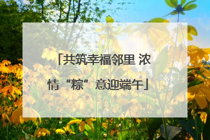 共筑幸福邻里 浓情“粽”意迎端午