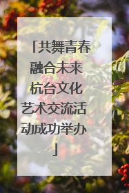 共舞青春 融合未来 杭台文化艺术交流活动成功举办