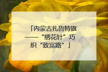 内蒙古扎鲁特旗——“绣花针”巧织“致富路”
