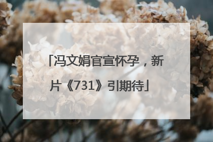 冯文娟官宣怀孕，新片《731》引期待