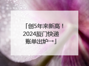 创5年来新高！2024厦门快递账单出炉→