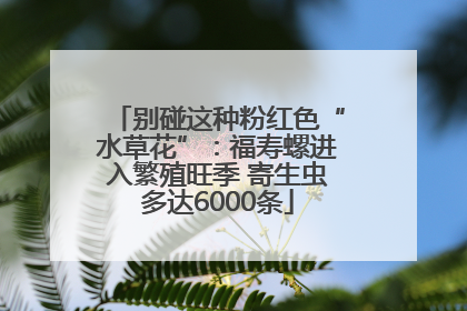 别碰这种粉红色“水草花”：福寿螺进入繁殖旺季 寄生虫多达6000条