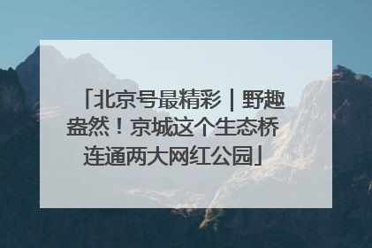 北京号最精彩｜野趣盎然！京城这个生态桥连通两大网红公园