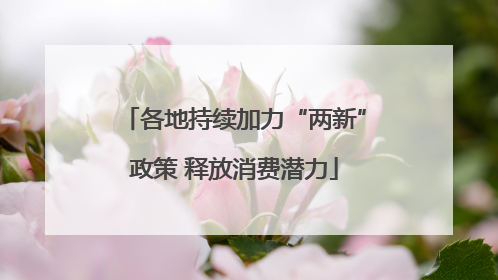 各地持续加力“两新”政策 释放消费潜力