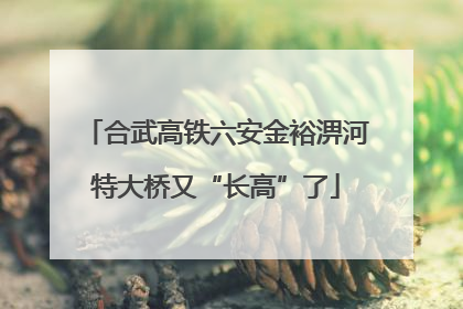 合武高铁六安金裕淠河特大桥又“长高”了