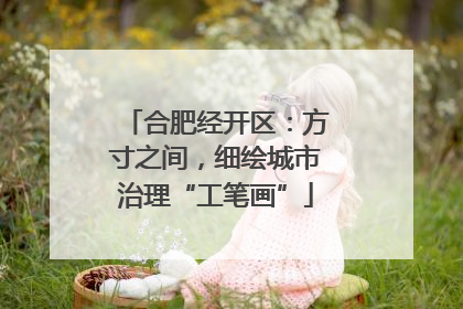 合肥经开区：方寸之间，细绘城市治理“工笔画”