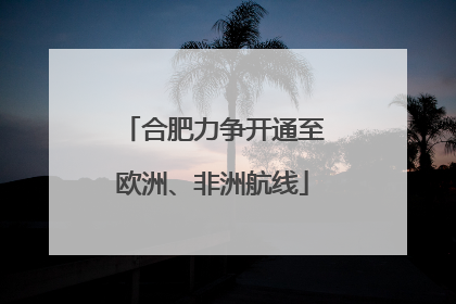 合肥力争开通至欧洲、非洲航线