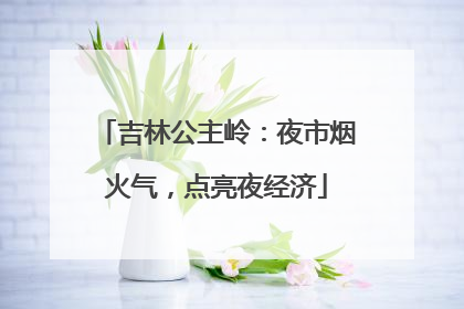 吉林公主岭：夜市烟火气，点亮夜经济