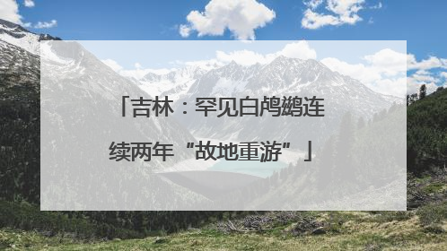 吉林：罕见白鸬鹚连续两年“故地重游”