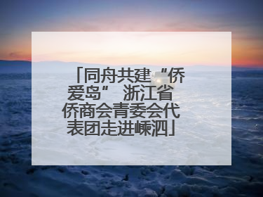 同舟共建“侨爱岛” 浙江省侨商会青委会代表团走进嵊泗