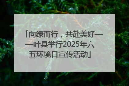 向绿而行，共赴美好——叶县举行2025年六五环境日宣传活动