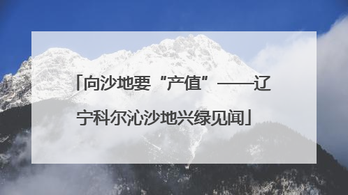 向沙地要“产值”——辽宁科尔沁沙地兴绿见闻