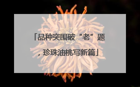 品种突围破“老”题，珍珠油桃写新篇