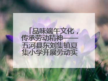 品味端午文化，传承劳动精神——五河县东刘集镇夏集小学开展劳动实践教育活动