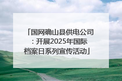国网确山县供电公司：开展2025年国际档案日系列宣传活动