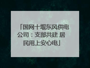 国网十堰东风供电公司：支部共建 居民用上安心电