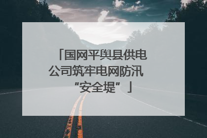 国网平舆县供电公司筑牢电网防汛“安全堤”
