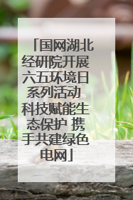 国网湖北经研院开展六五环境日系列活动 科技赋能生态保护 携手共建绿色电网