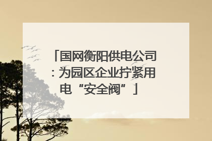 国网衡阳供电公司：为园区企业拧紧用电“安全阀”
