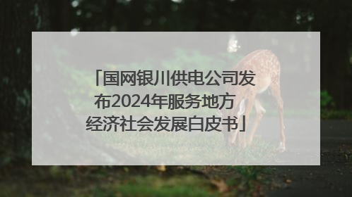 国网银川供电公司发布2024年服务地方经济社会发展白皮书