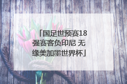 国足世预赛18强赛客负印尼 无缘美加墨世界杯