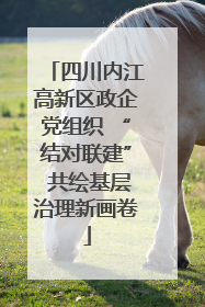 四川内江高新区政企党组织 “结对联建” 共绘基层治理新画卷