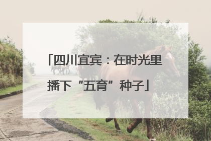 四川宜宾：在时光里播下“五育”种子