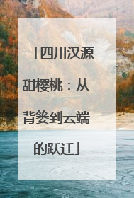 四川汉源甜樱桃：从背篓到云端的跃迁