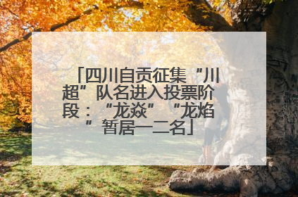 四川自贡征集“川超”队名进入投票阶段：“龙焱”“龙焰”暂居一二名