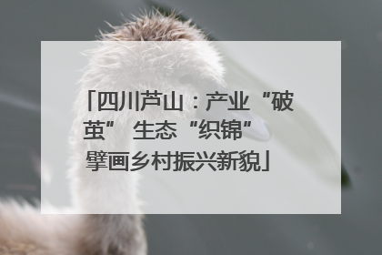 四川芦山：产业“破茧” 生态“织锦” 擘画乡村振兴新貌