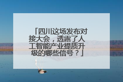 四川这场发布对接大会，透露了人工智能产业提质升级的哪些信号？