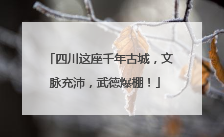 四川这座千年古城，文脉充沛，武德爆棚！