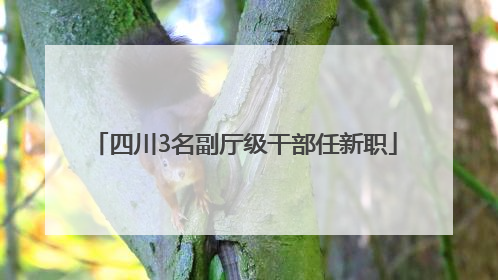 四川3名副厅级干部任新职