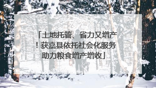 土地托管、省力又增产！获嘉县依托社会化服务助力粮食增产增收