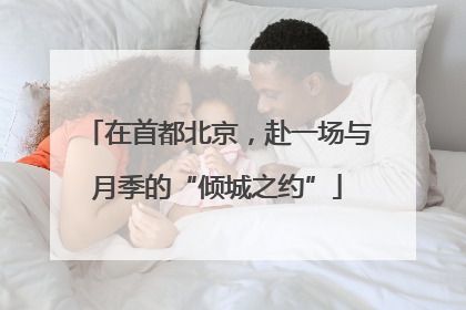 在首都北京，赴一场与月季的“倾城之约”