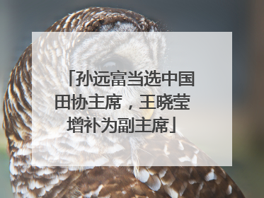 孙远富当选中国田协主席，王晓莹增补为副主席