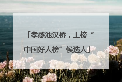 孝感池汉桥，上榜“中国好人榜”候选人