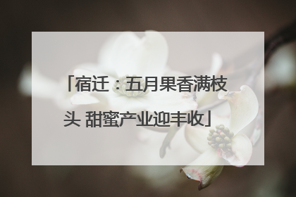 宿迁：五月果香满枝头 甜蜜产业迎丰收